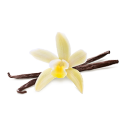 Vanilla Ingredient